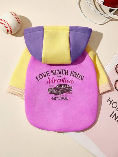 PETSIN 1 Piece Of Car Letter Printed Pet Color Blocked Sports Style Thick Warm Spring And Autumn Pet Clothing Hoodie