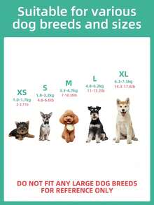 1PC Holiday Pet Clothes, Cute Tulle Skirt, Suitable For Small Dogs - White - View 4