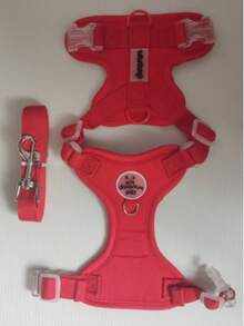 狗狗胸背带套装，防逃脱背心式胸背带，采用柔软网布制成，肩带可调节，带有反光条，适合幼犬和幼猫。 - 彩色 - 查看 20