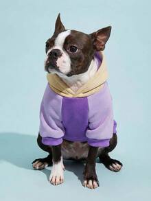 PETSIN 1 pieza de ropa de mascota con capucha de estilo deportivo, con bloqueo de color e impresión de letra digital, gruesa y cálida para primavera y otoño - Multicolor - Ver 6