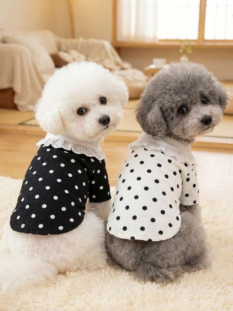 PETSIN Pet Clothing, Dog Clothing, Cat Vest, Pet Spring And Summer New Casual Wear - Multicolor - View 3