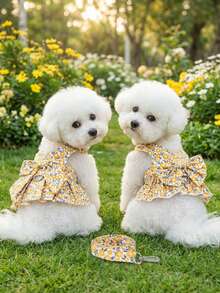 PETSIN 宠物胸背裙，猫咪牵引带，动物项圈套装，宠物用品绑带裙，狗狗散步公主裙，宠物胸背裙+绳子 - 彩色 - 查看 2