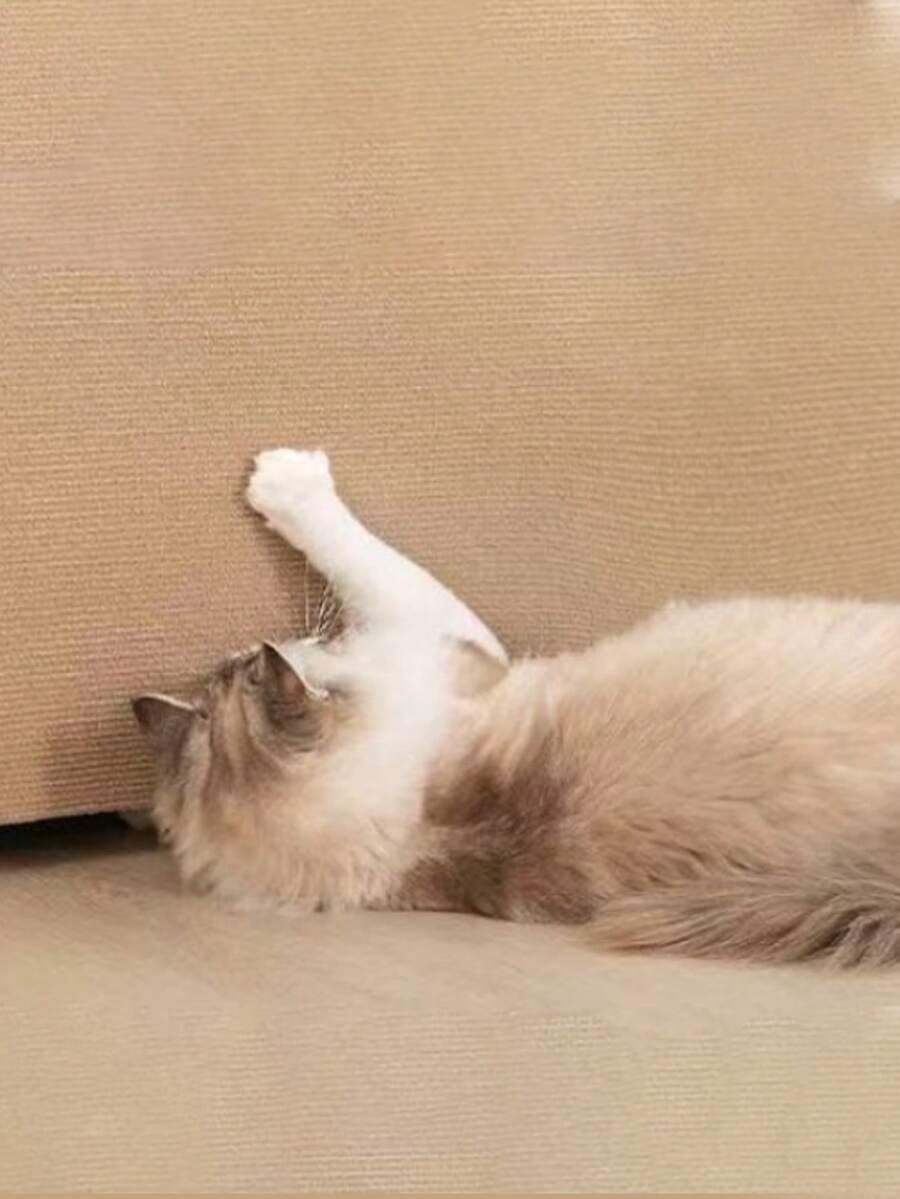 1PC Self-Adhesive DIY Easy-Cut Anti-Slip Rabbit Scratch Pad, Suitable For Rabbit Cages, Easy To Clean, Suitable For Claw And Teeth Care, Rabbit Cage Mat, Small Animal Floor Scratching Carpet, Rabbit Cage Carpet, Rabbit Cage Accessories - Multicolor - View 1