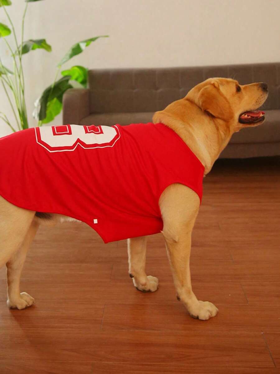 1 chiếc áo khoác thoáng khí chống bọ chét và rụng lông cho mèo và chó, quần áo mùa hè nhẹ cho thú cưng. - Nhiều màu - Xem 1