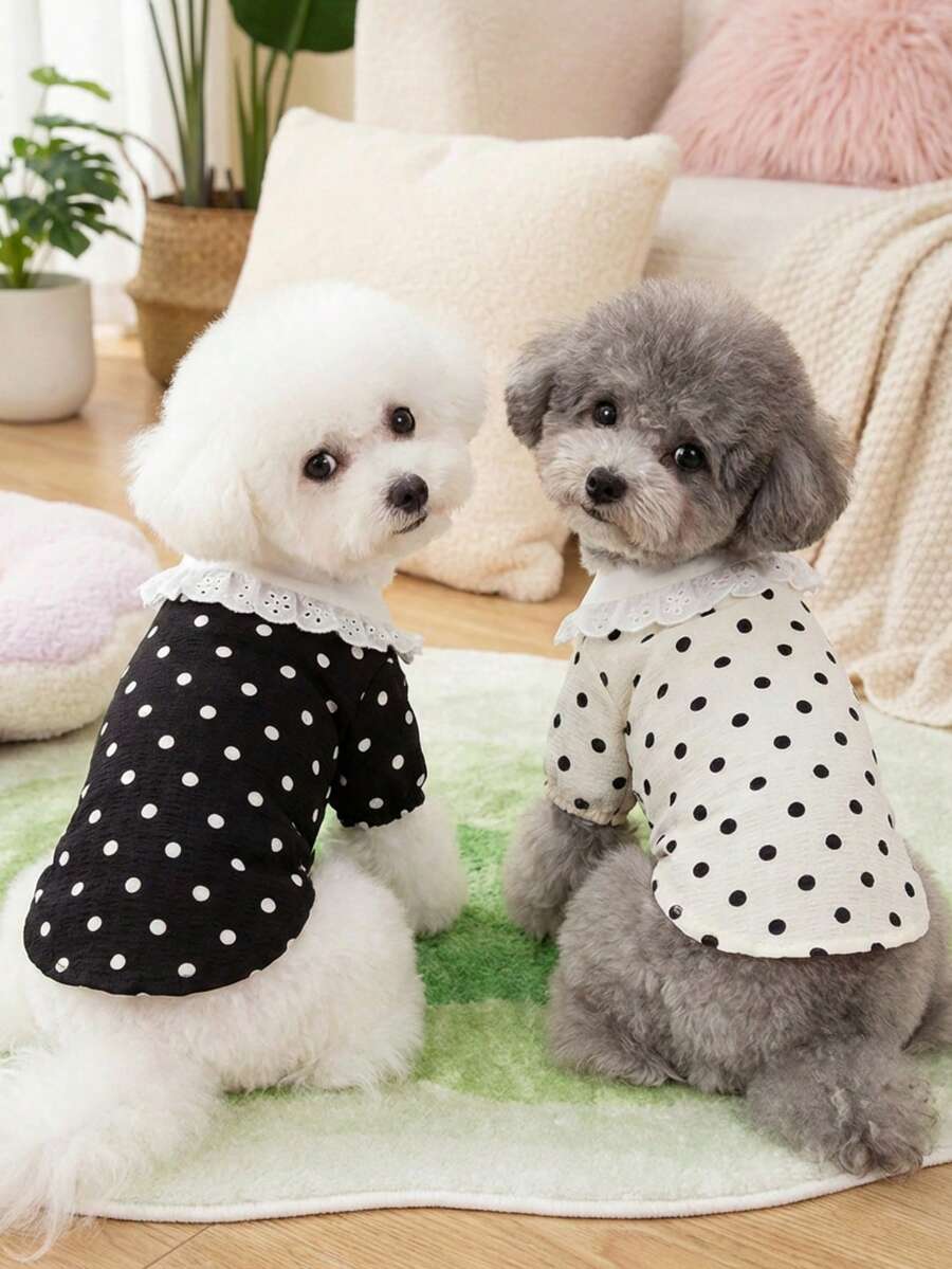 PETSIN 宠物服装、狗狗服装、猫咪背心、宠物春夏新款休闲装 - 彩色 - 查看 1