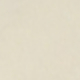 白皮