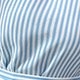 Blue and White