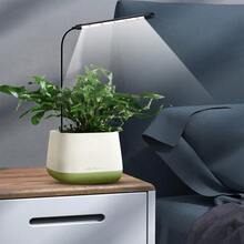 USB Full Spectrum LED Plant Growth Light, 6000K, With Controller, Indoor Gardening, Plant Flowering - White Red Light - View 4