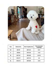 PETSIN 秋冬季宠物保暖内衬心形卫衣，适合猫咪、小型犬、泰迪熊、比熊犬、约克夏梗犬等——厚实保暖 - 彩色 - 查看 24