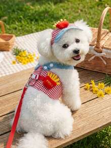 PETSIN 春夏宠物牵引绳套装，两件套，含帽子、可调节反光带（适用于猫狗）、透气柔软的宠物背心带，户外遛狗安全用品，适合中小型宠物 - 彩色 - 查看 3