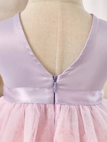 Babygirl Elegant Summer Cute Colorful Mesh Bow Decor Dress - Multicolor - View 10