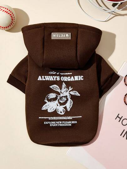 PETSIN 1件水果字母印花宠物咖啡色运动风加厚保暖春秋季宠物服装连帽衫