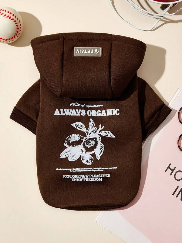 PETSIN 1 Piece Of Fruit Letter Printed Pet Coffee Color Sports Style Thick Warm Spring And Autumn Pet Clothing Hoodie