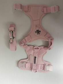 狗狗胸背带套装，防逃脱背心式胸背带，采用柔软网布制成，肩带可调节，带有反光条，适合幼犬和幼猫。 - 彩色 - 查看 21