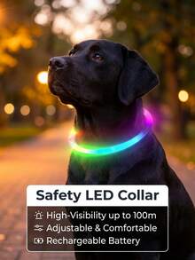 PETSIN 1pc Rechargeable Luminous Pet Collar, 4 Lighting Modes: Steady, Fast Flashing, Slow Flashing, Flowing, Suitable For Pets' Night Activity, Can Be Cut To Fit - Multicolor - View 3