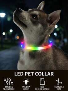 PETSIN 1pc Rechargeable Luminous Pet Collar, 4 Lighting Modes: Steady, Fast Flashing, Slow Flashing, Flowing, Suitable For Pets' Night Activity, Can Be Cut To Fit - Multicolor - View 2