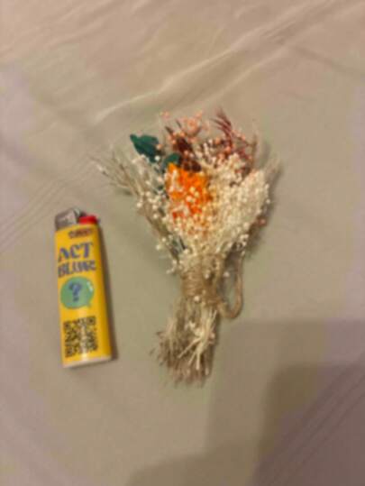 SHEIN 1/2/6/12 件迷你干花花束、装饰、伴娘求婚花童礼盒、波西米亚风婚礼餐桌中心装饰、小干蒲苇花瓶装饰、小干花生日蛋糕装饰礼物毕业、秋季装饰、秋季