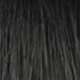 S1