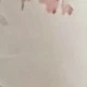 彩色