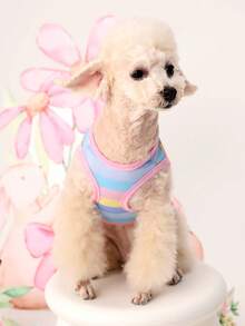 PETSIN Áo vest cho thú cưng (mèo và chó) in hình chú thỏ dễ thương sọc nhiều màu sắc mừng lễ Phục Sinh, bán theo bộ 1 chiếc. - Nhiều màu - Xem 5