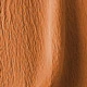 trái cam
