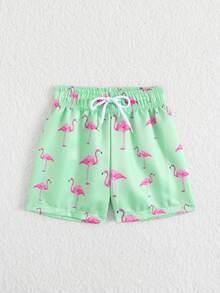 婴幼儿男童泳装，火烈鸟印花，梭织面料，沙滩短裤，适合度假、海滩、夏季穿着 - 綠色 - 查看 3