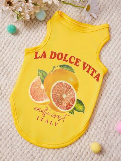 PETSIN 1 chiếc áo vest cho thú cưng in chữ màu cam với đường chỉ vàng, mềm mại và thoáng khí, thoải mái.