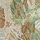 彩色