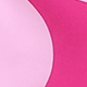 Rosa Fucsia