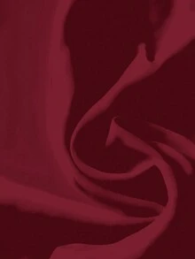 SHEIN CURVE+ 大码女式日常休闲度假V领黑色宽松衬衫，夏季度假外出上衣/秋冬季 - 酒紅色 - 查看 4