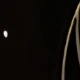 متعدد الألوان