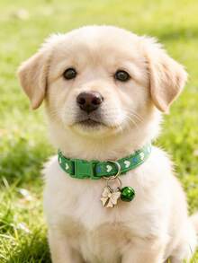 PETSIN 1 件装宠物心形蝴蝶结项圈，颈围可调节，猫狗项圈，宠物配件，情人节节日宠物用品 - 彩色 - 查看 3