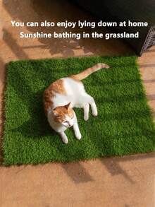 Pet Lawn Pee Pad, Dog Toilet, Fake Grass, Potty Training Mat, Artificial Grass Pad - Multicolor - View 5