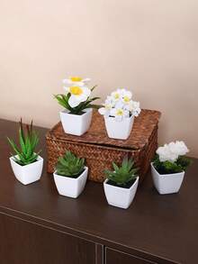 Màu xanh lá cây trắng