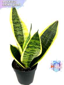 人造虎尾兰盆栽，仿真虎尾兰（Sansevieria Trifasciata）植物，白色花盆，热带仿真虎尾兰，适合家居、办公室、房间室内装饰，乔迁礼物。 - 綠色 - 查看 10