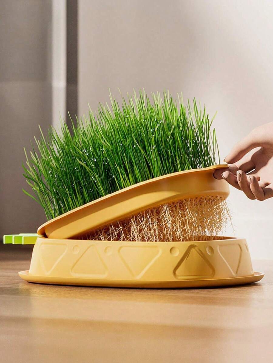 1pc (Excluding Seeds) Hydroponic Cat Grass Planter Kit For Digestion & Health Improvement - Includes Greenhouse Growth Box Striped Soilless Hydroponic Planter, For Gardening And Seedling (Excludes Seed Planting Kit Only)