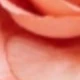 Coral Pink