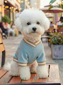 PETSIN 1 Stück Vintage "New York" bestickter Haustier Baseball Uniform, blaues lässiges College-Stil Katzen- und Hundeoutfit - Blau - Übersicht 4