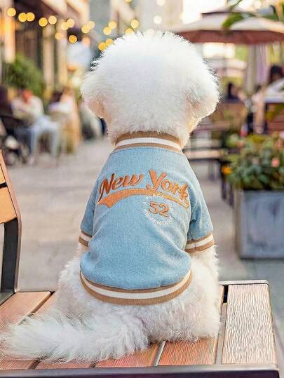 PETSIN 1 Bộ quần áo bóng chày cho thú cưng kiểu dáng cổ điển thêu chữ "New York", màu xanh dương, phong cách thường ngày của trường đại học, dành cho mèo và chó.