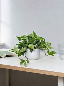 1/2 chậu cây leo giả nhiều màu sắc - Trang trí tự làm | Cao khoảng 20cm (bao gồm cả chậu tròn màu trắng) | Hoàn hảo để trang trí bệ cửa sổ, kệ trong phòng khách, bàn làm việc, bàn đầu giường, giữ được vẻ tự nhiên mà không cần chăm sóc - màu xanh lá - Xem 5