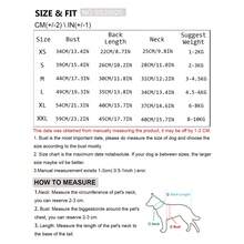 PETSIN Un vestido de princesa con estilo de tulipán de primavera y conejito, con cuello de muñeca y dobladillo con volantes, ideal para que los gatos y perros lo usen cuando salen. - Rosa - Ver 5