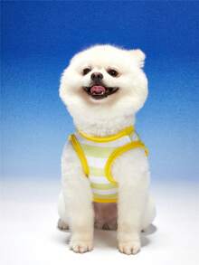 Áo vest cho chó/mèo cưng in hình chú ếch dễ thương sọc vàng, 1 chiếc. - màu xanh lá - Xem 5