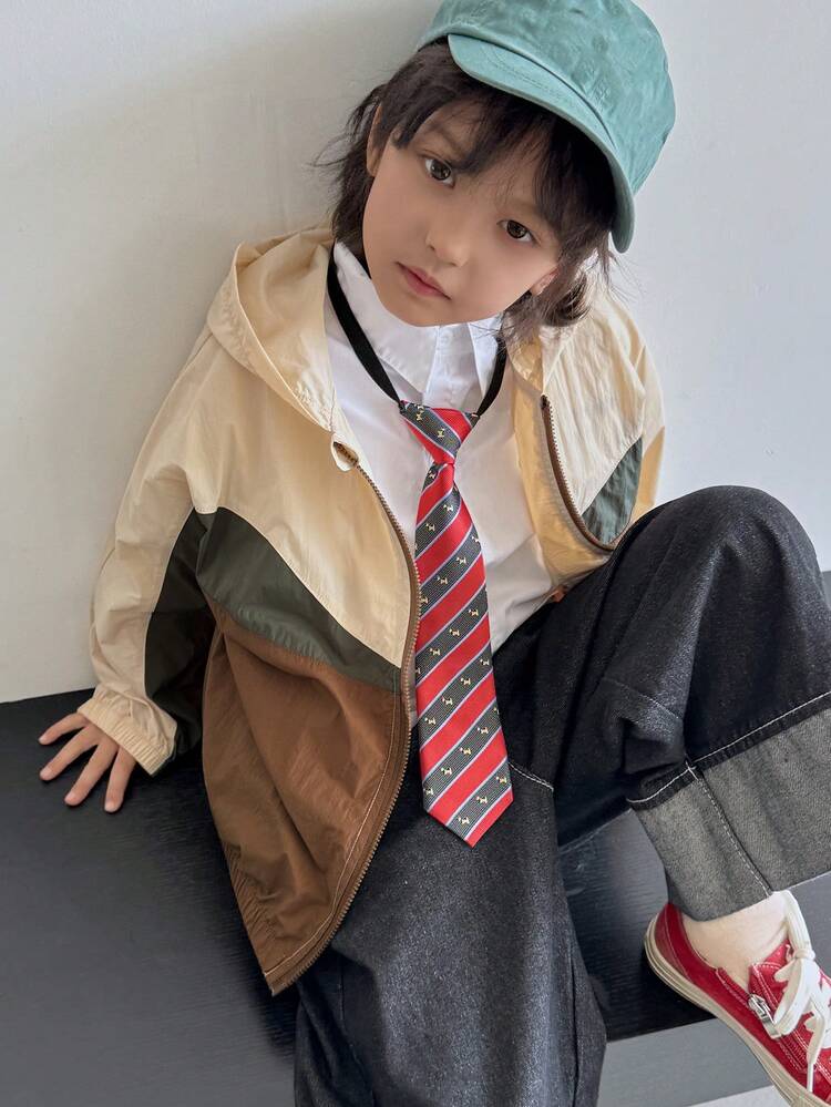 Young Boy's Casual Color Block Hooded Jacket, Autumn/Spring