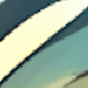 彩色