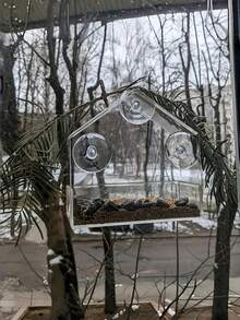 Haus Hana 亚克力鸟食喂食器，透明壁挂式鸟笼，户外花园悬挂式鸟食托盘及饮水器，有机树脂伞形鸟槽，开口适中，方便鸟类站立啄食，多功能野生鸟类花园装饰喂食器，中等深度设计，方便鸟类进食和休息，四合一鸟食站，适用于户外花园、庭院、阳台装饰，耐用防风雨鸟食喂食器，爱鸟人士居家花园用品 - 多色 - 查看 6