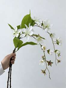 2pcs 3D Printed Simulated Weeping Jasmine Silk Flower Begonia Single Stem Light Luxury Artificial Flower Home Indoor Landscaping Decoration Flower - Multicolor - View 11