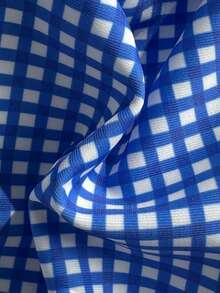 Swim Mod 2pcs/Set Plaid Print Spaghetti Strap Backless Tie Swimsuit Set For Women, Spring/Summer - Blue and White - View 7