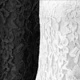 Blanco y Negro