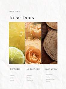 SHEGLAM HAIR Hot Streak 免沖洗保護精華液 - 150 毫升/5 液量盎司，頭髮熱防護噴霧，髮膜護髮精華液 Hot Streak 免沖洗護髮精華素，多合一免洗噴霧，作為空氣保護和抵禦損傷，防止紫外線損傷，強化、滋養、滋潤頭髮，適合所有髮捲髮產品 生日 禮物 假期 粉紅色的 氛圍 化妝品 旅行 學校 節慶 玫瑰 展示 女孩 魅力 護髮 母親節 想要 時尚 銳舞派對 - 無色 - 查看 8