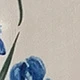 Blue and White